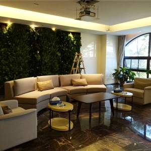 植物墻